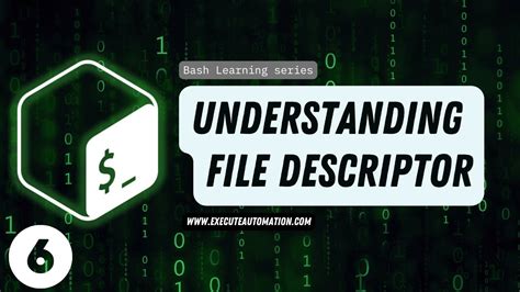 Bash Anonymous File Descriptor