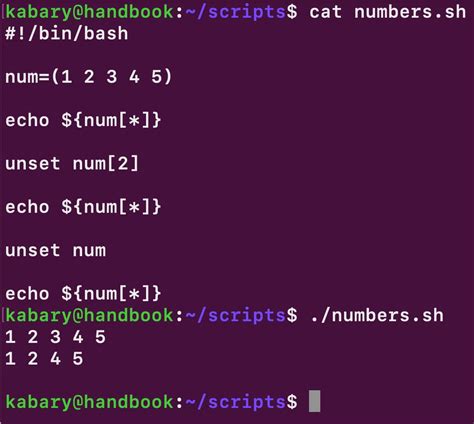 Mastering Bash Array: Efficient Data Storage and Manipulation in Linux ...