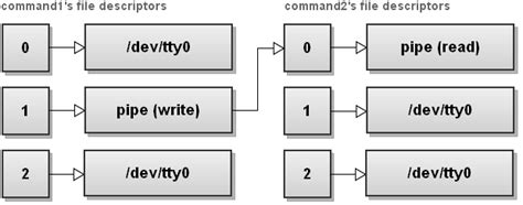 Bash File Descriptor Stdin