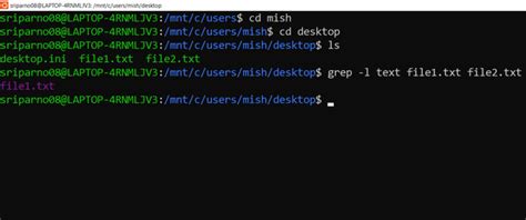 bash find files containing string