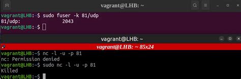 bash kill process on exit