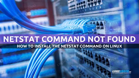 bash netstat command not found