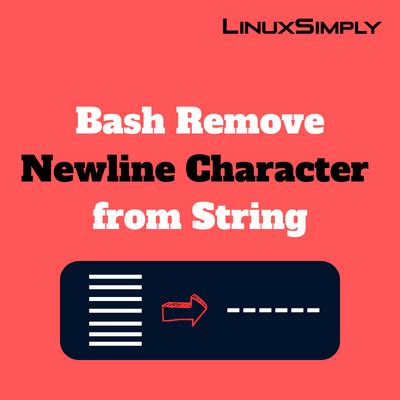 Bash Newline In String