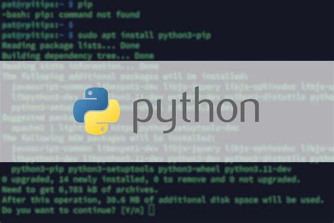 bash pip command not found raspberry pi