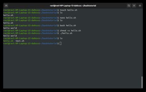 Master the Art of Bash Programming: Tips, Tricks, and Expert Techniques for Maximum Efficiency