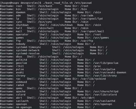 Bash Read Directory File Names
