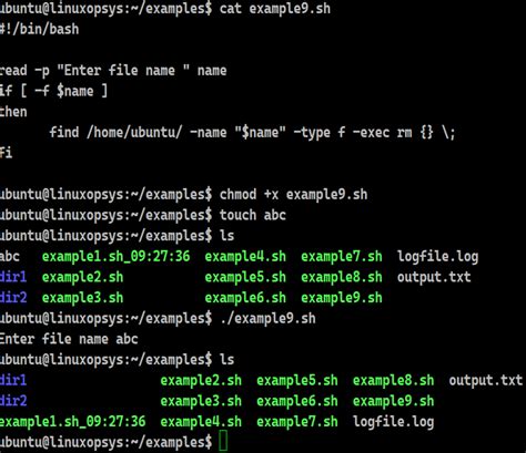 Bash Script Cut Example