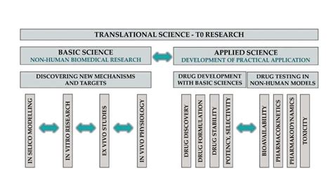 basic applied and translational research examples