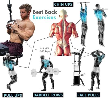 basic back exercises for beginners