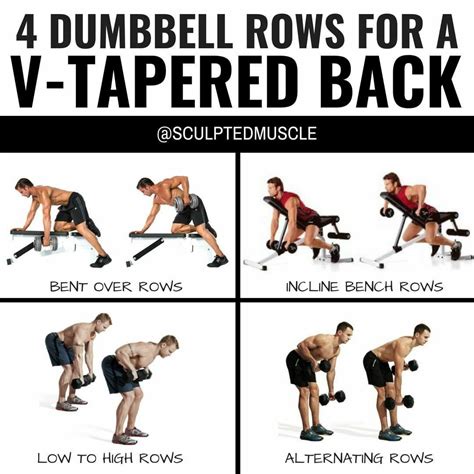 basic back exercises with dumbbells