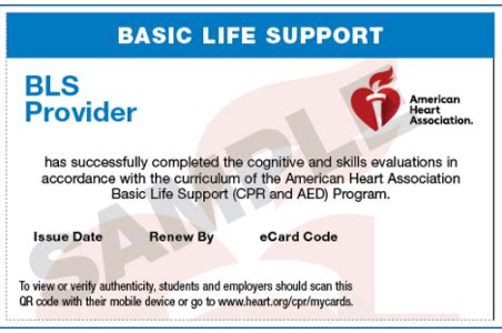 Save Lives with Confidence: Get Your Basic Cardiac Life Support Certification Today