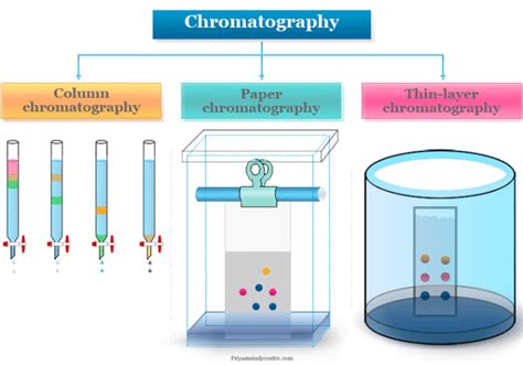 Basic Chromatography Principles