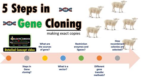 Basic Cloning Techniques