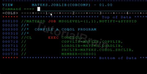 basic cobol program example