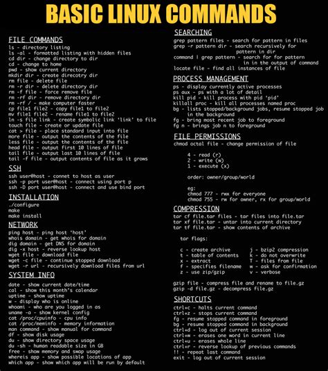 basic command line commands linux