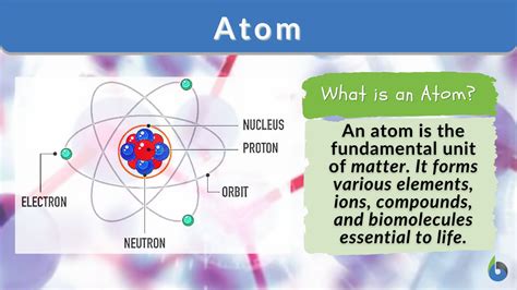 basic definition of science