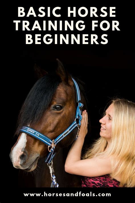 basic horse training for beginners