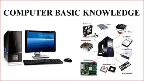 Basic Knowledge About Computer