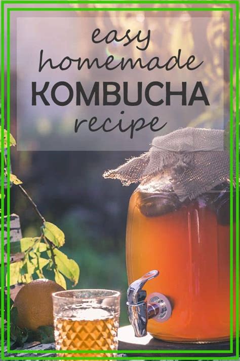 basic kombucha recipe for 1 gallon
