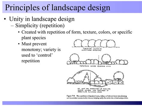 basic landscape design principles