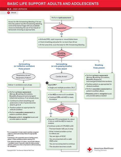basic life support code