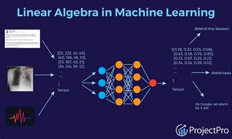 basic linear algebra in machine learning techniques