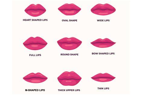 Basic Lips Shapes