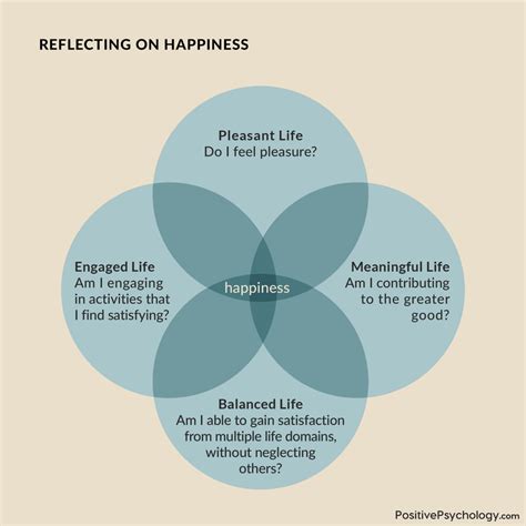 basic meaning of happiness