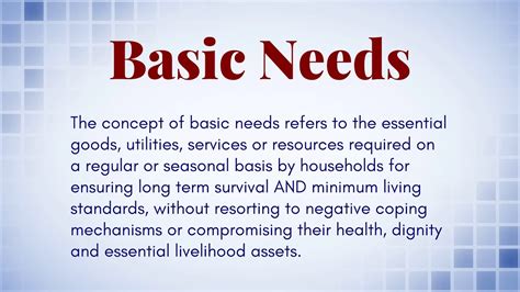 basic needs meaning in telugu