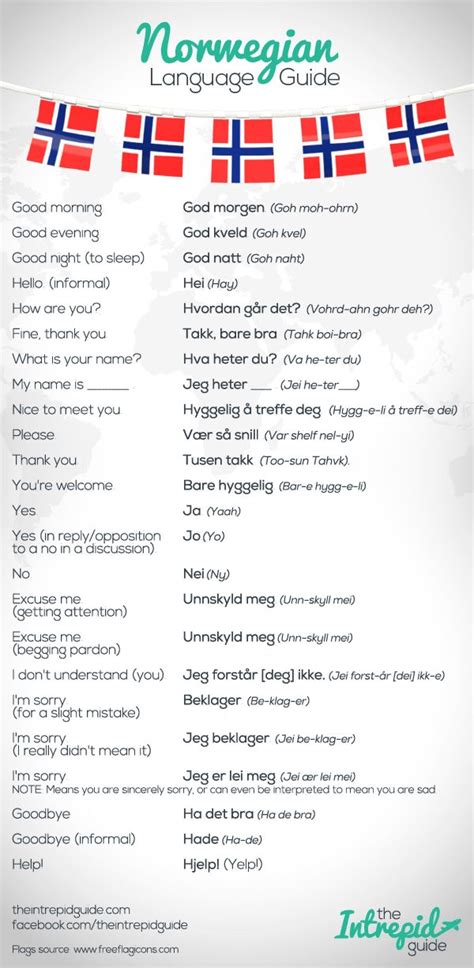 basic norwegian phrases with pronunciation