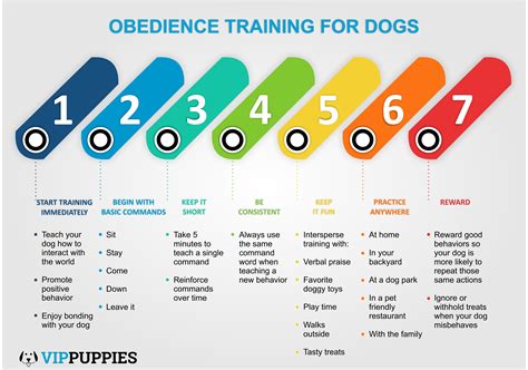 Basic Obedience Dog Training Videos