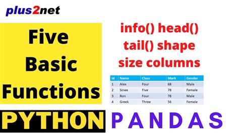 basic pandas functions