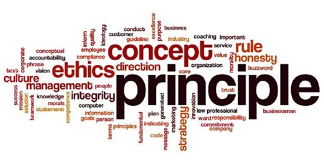 basic principle meaning