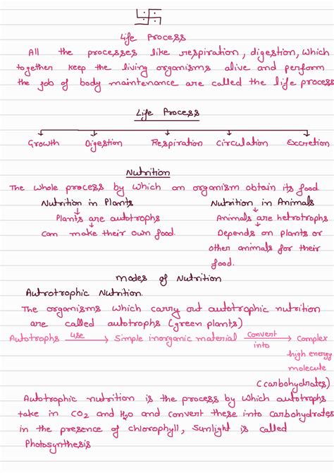 basic principles of life 11th class notes