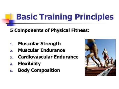Basic Principles Of Strength Training