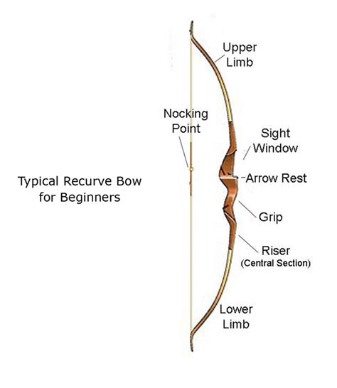 Basic Recurve Bow