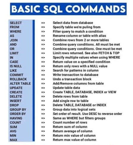 basic sql commands with examples