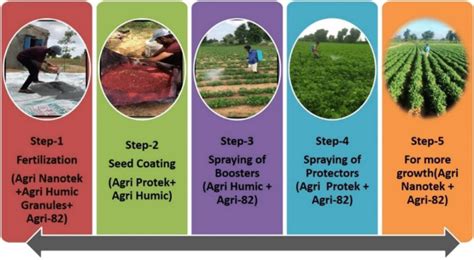 basic steps of organic farming