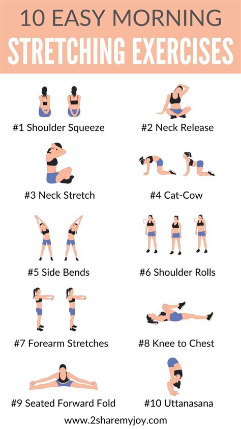 Basic Stretching Exercise Examples