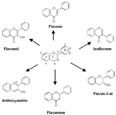 Basic Structure Of Flavonoids