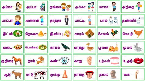 basic tamil words to learn for beginners
