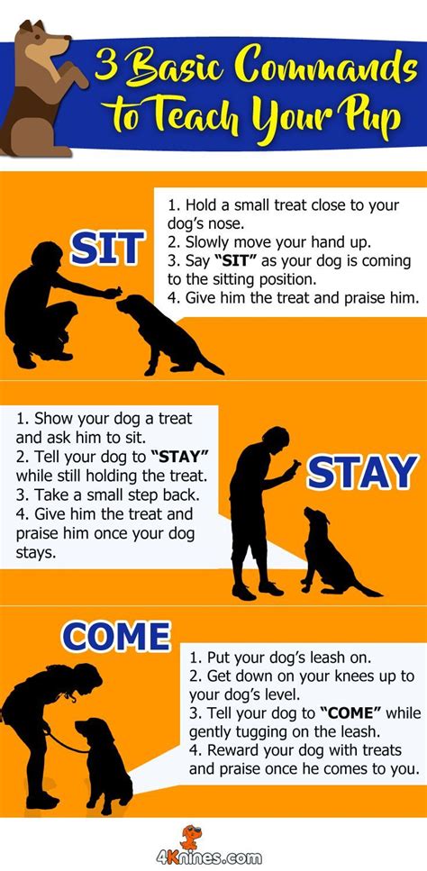 Basic Things To Teach Your Dog