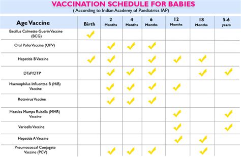 basic vaccination schedule