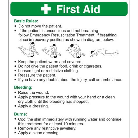 basic vs standard first aid