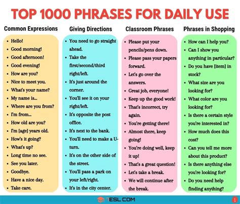 basic words examples