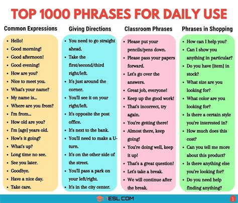 basic words in english with examples