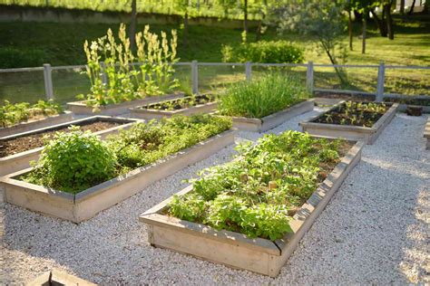 Basics For Garden Bed