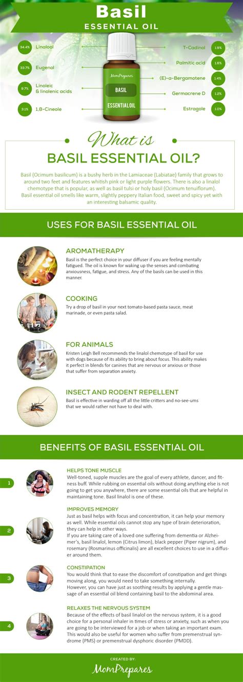 Basil Essential Oils Usage