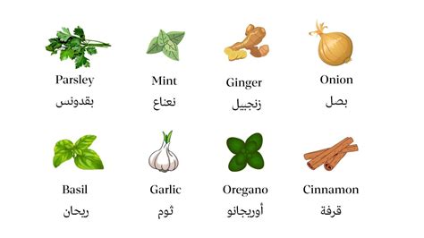 Basil Herb In Arabic