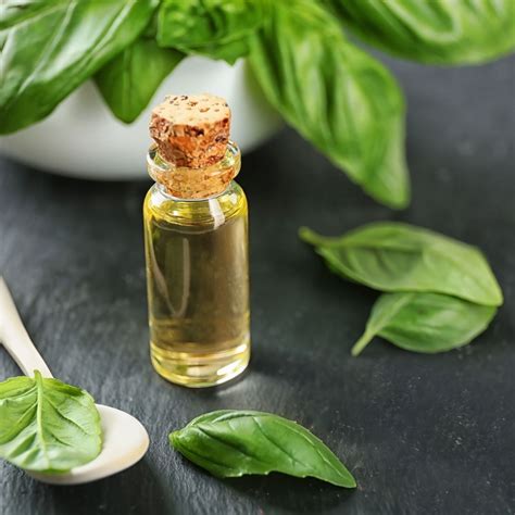 Basil Oil Aromatherapy